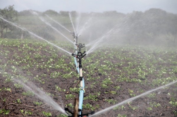 How does sustainable agriculture address water scarcity and irrigation challenges?
